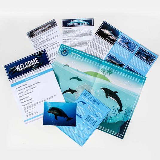 Gift Republic - Wholesale Gag Gift/Novelty Gift - Adopt a Dolphin