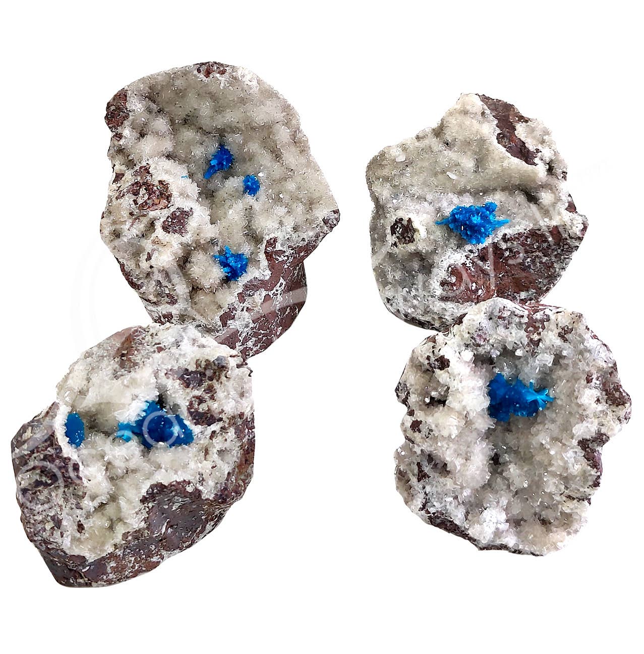 Oceanic Linkways Inc - Wholesale Spiritual Stone/Crystal - (PC)SPECIMEN - CAVANSITE IN MATRIX 3-6"0