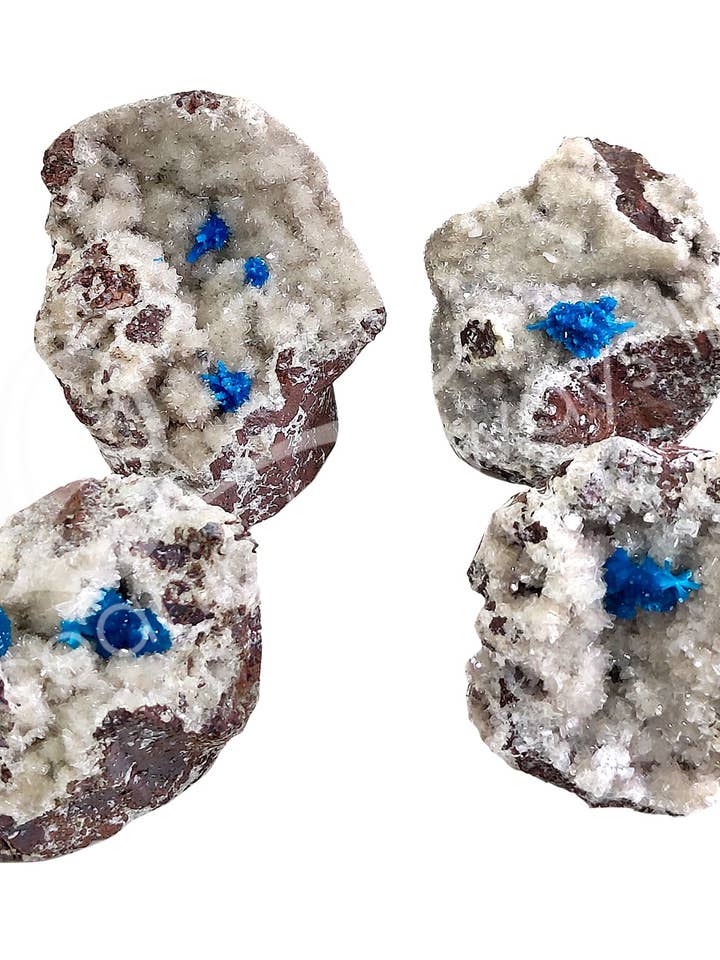 (PC)SPECIMEN - CAVANSITE IN MATRIX 3-6" for wholesale by Oceanic Linkways Inc