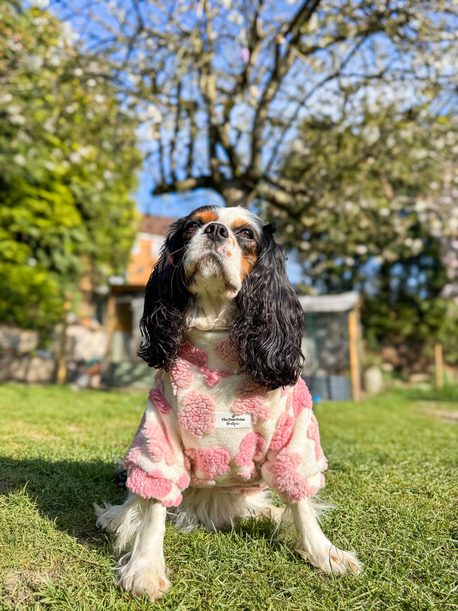 The Paw Print Boutique - Wholesale Pet Coat - Dog - The Peony Pink Floral Fleece14