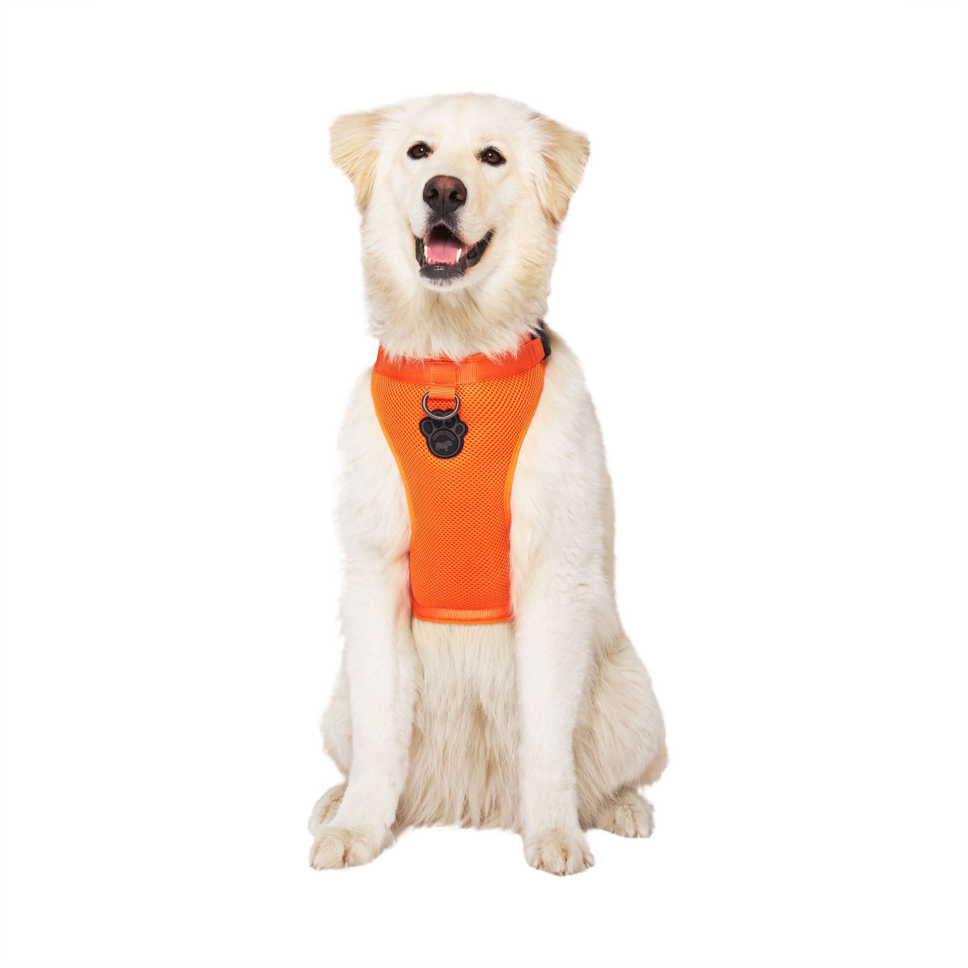 Canada Pooch - Wholesale Pet Harness - Dog - Everything Harness- No-Pull Dog Harness (Mesh)9
