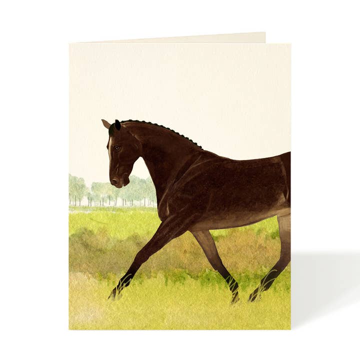Felix Doolittle - Wholesale Everyday Greeting Card - Chester - Everyday Horse and Equestrian Greeting Cards
