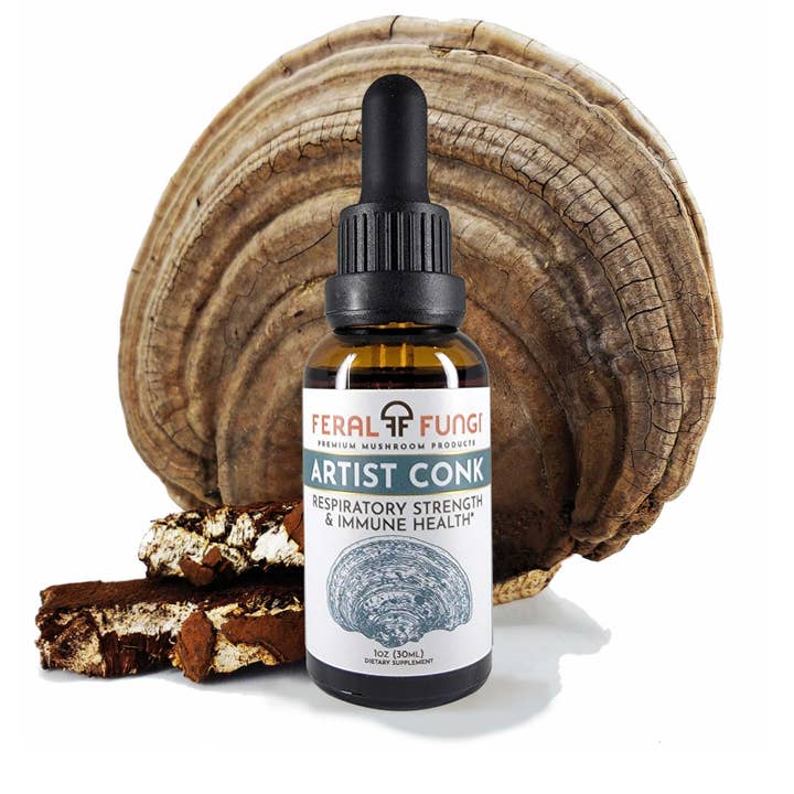 Feral Fungi - Wholesale Tincture - Artist Conk (Ganoderma applanatum) Spagyric Tincture
