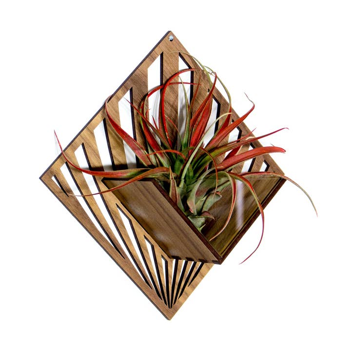 Air Plant Holder - Quadrate Wall Hanging Planter 5 for wholesale by LIGHT RAZOR DESIGN STUDIO