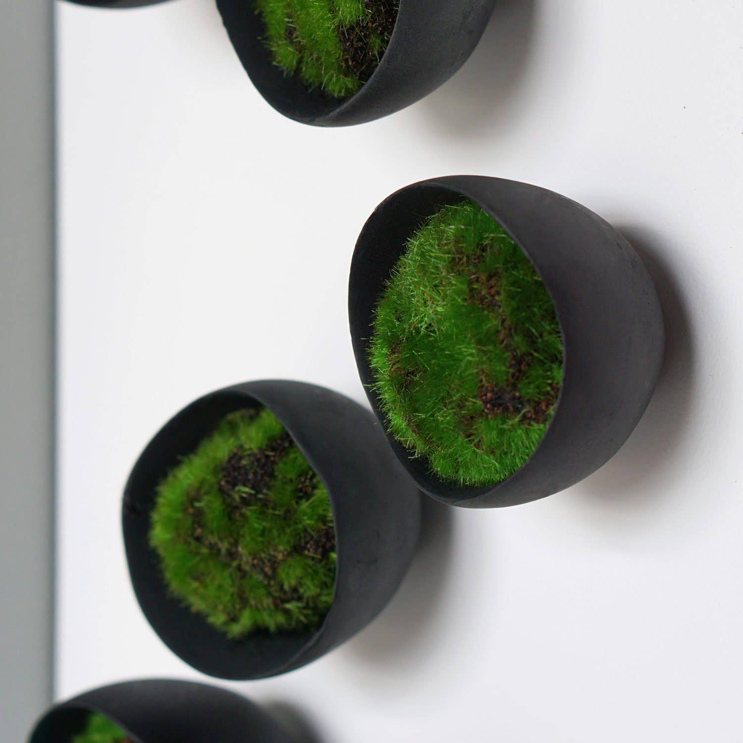 Gold Leaf Design Group - Wholesale Wall Art Set - Seed Wall Play™ SEED BLACK Set/1013