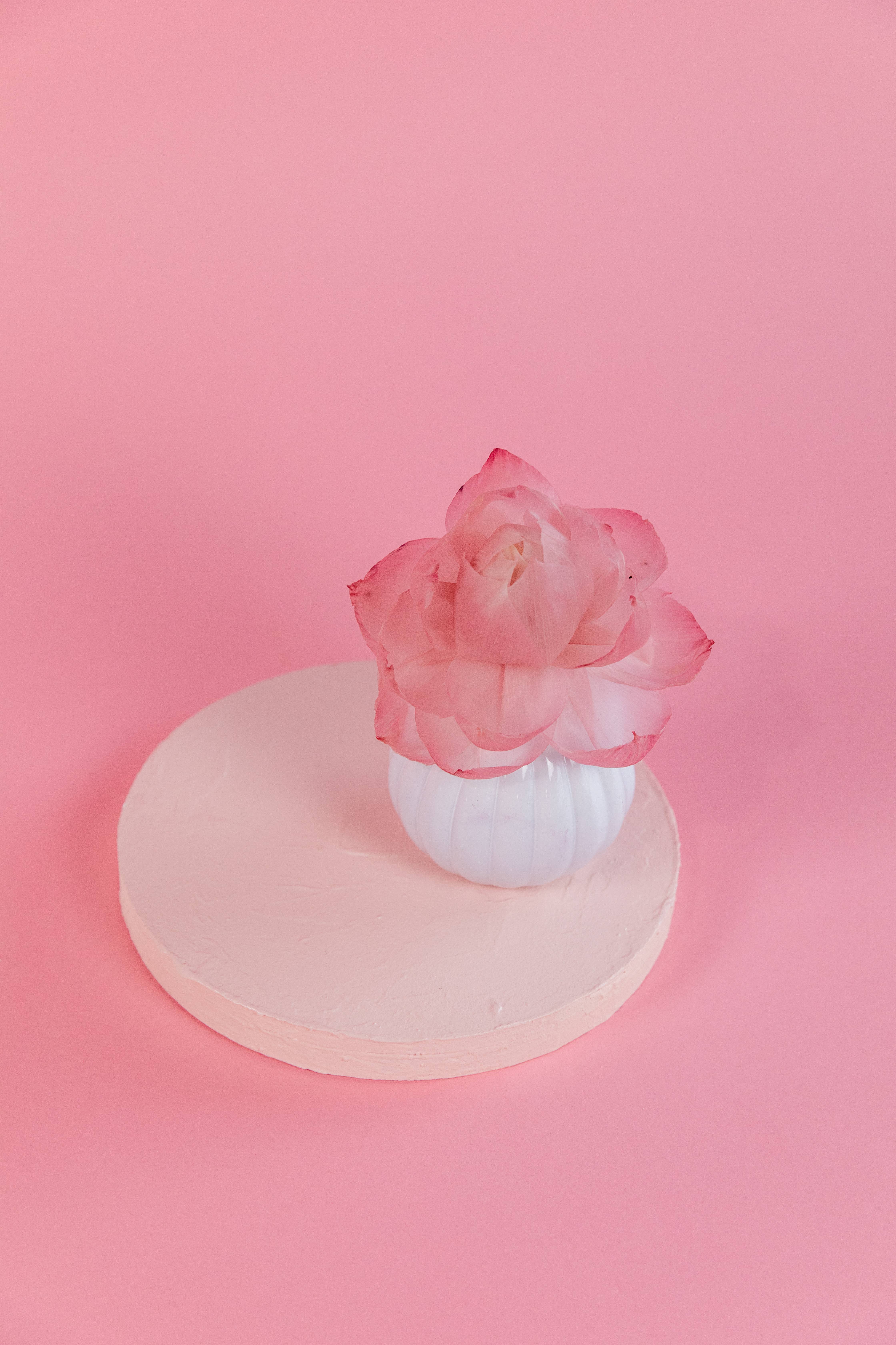 Bridgewater Candle Company - Wholesale Reed Diffuser - Sweet Grace Flower Diffuser5