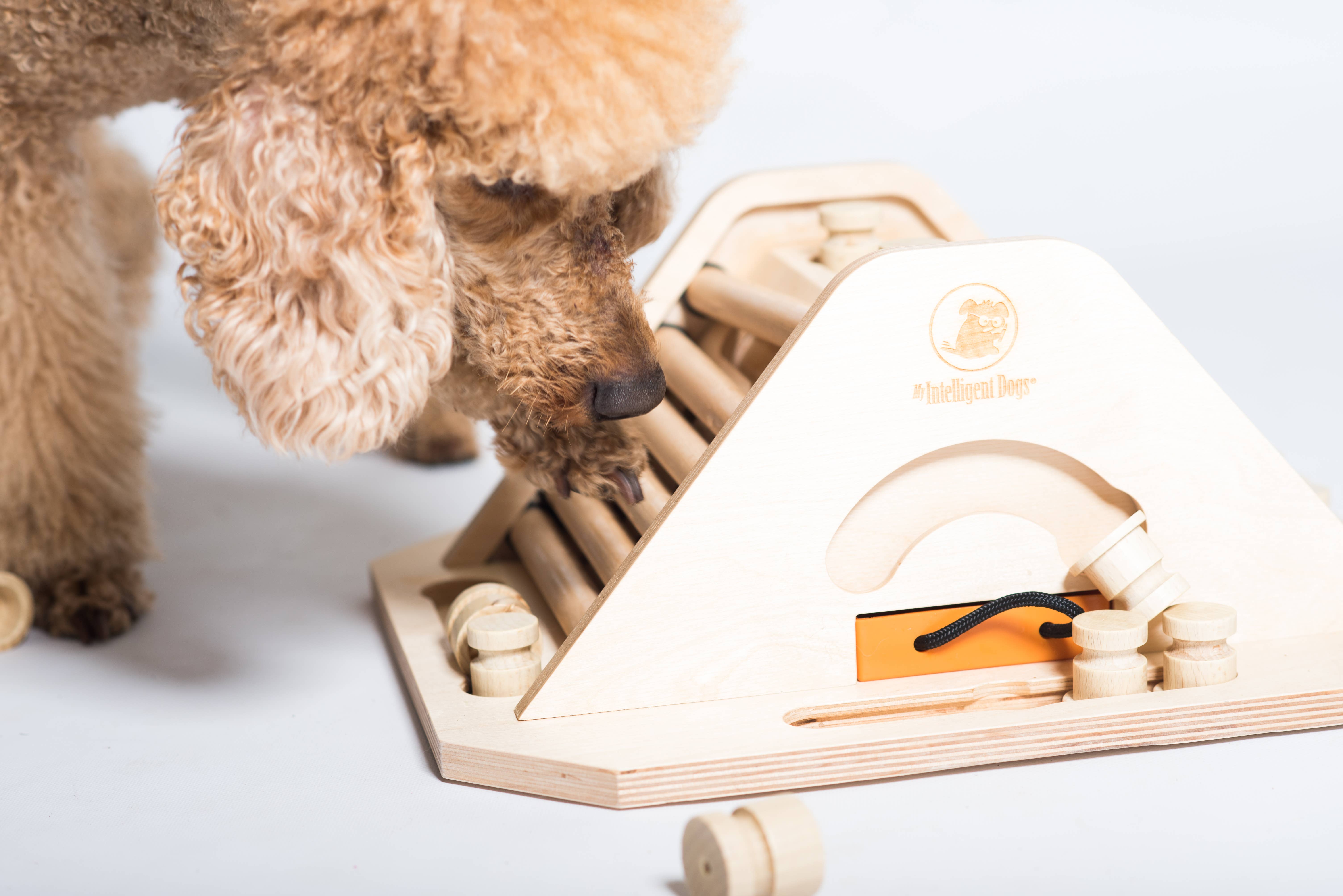 My Intelligent Dogs - Wholesale Pet Toy - Dog - Pyramid - challenging and stimulating dog game2