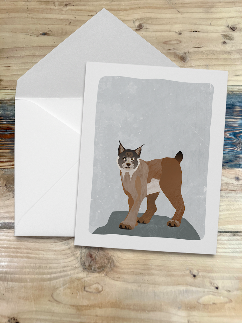 Wren and the Raven – wholesale Stationery/notecard set – Alaska Wildlife Series Notecards5