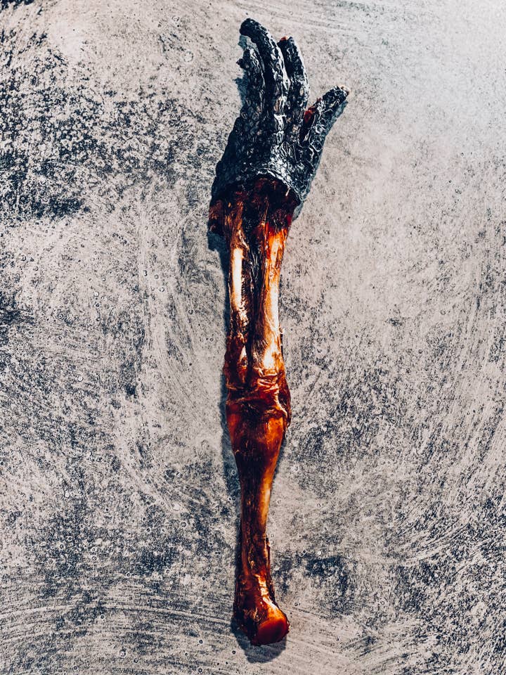 Pattes d'alligator capturées dans la nature Nutrigator®, taille XXL *en vrac pour la vente par Mosaic Pet Food