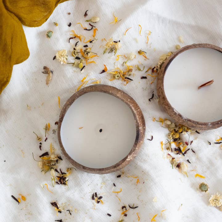 Q Home Australia - Vente Bougie en bocal - Ensemble de bougies à la noix de coco - Timber Wick