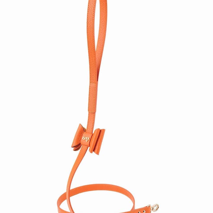 MOSHIQA - Wholesale Pet Leash - Dog - Bisou Dog Leash