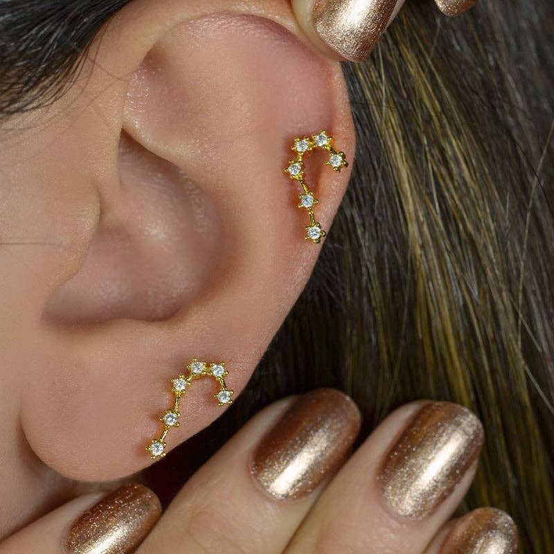 StockJWL - Wholesale Stud/Post Earrings - 12 Zodiac Earrings, Constellation Stud Earring Stud Piercing Tragus Helix Lobe and Cartilage Silver And Gold23