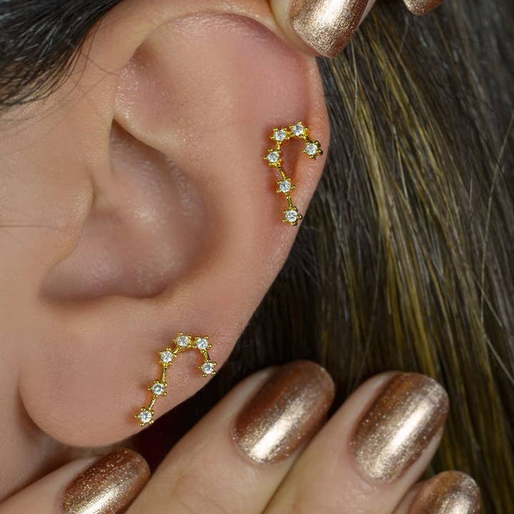 StockJWL - Wholesale Stud/Post Earrings - 12 Zodiac Earrings, Constellation Stud Earring Stud Piercing Tragus Helix Lobe and Cartilage Silver And Gold23