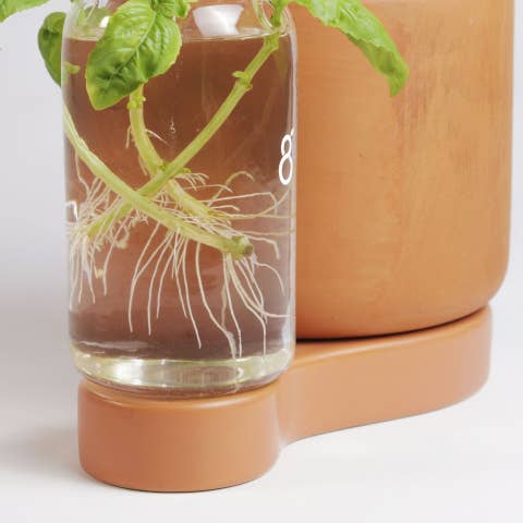 Greenfinity - Wholesale Plant Pot - Greenfinity - Cutting pot with self-watering system