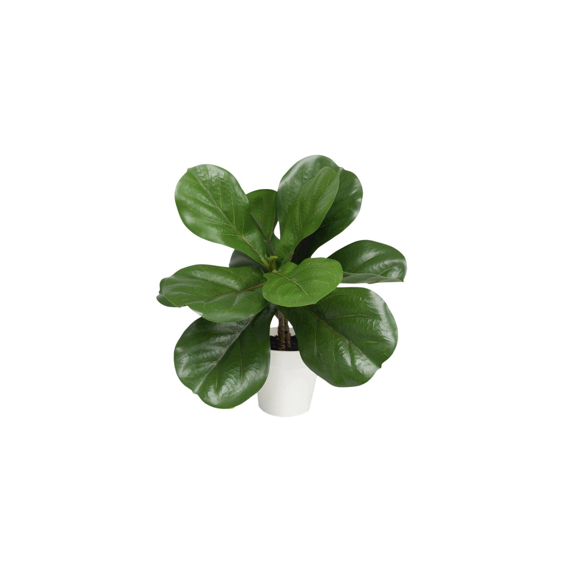 Algreen - Wholesale Artificial Plant - 15" Potted Ficus (5" x 15"H)