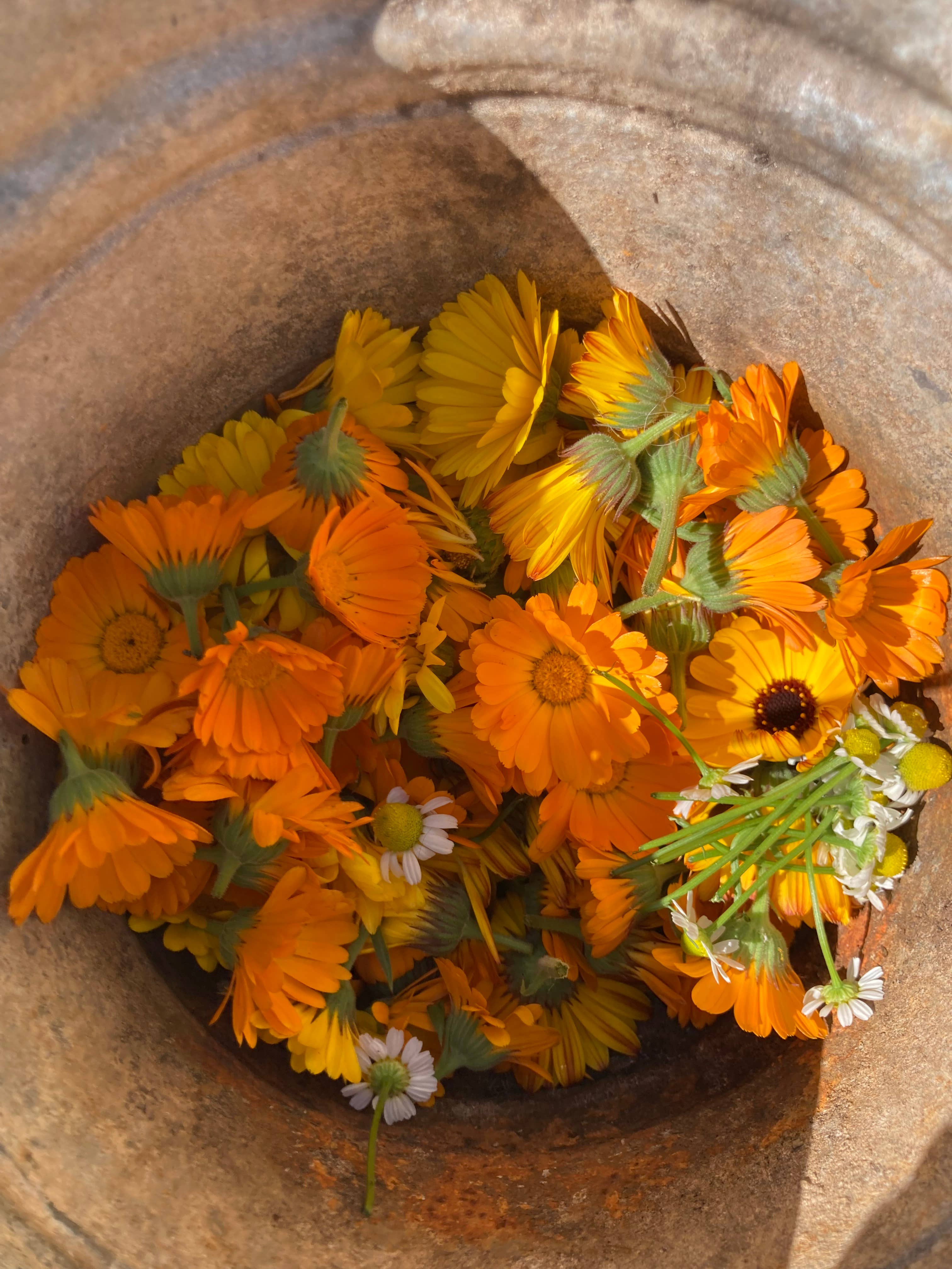 Honeybee Herbs - Wholesale Body Scrub/Exfoliant -  Relax and Unwind Salt Scrub1