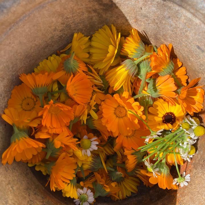 Honeybee Herbs - Wholesale Body Scrub/Exfoliant - Relax and Unwind Salt Scrub1