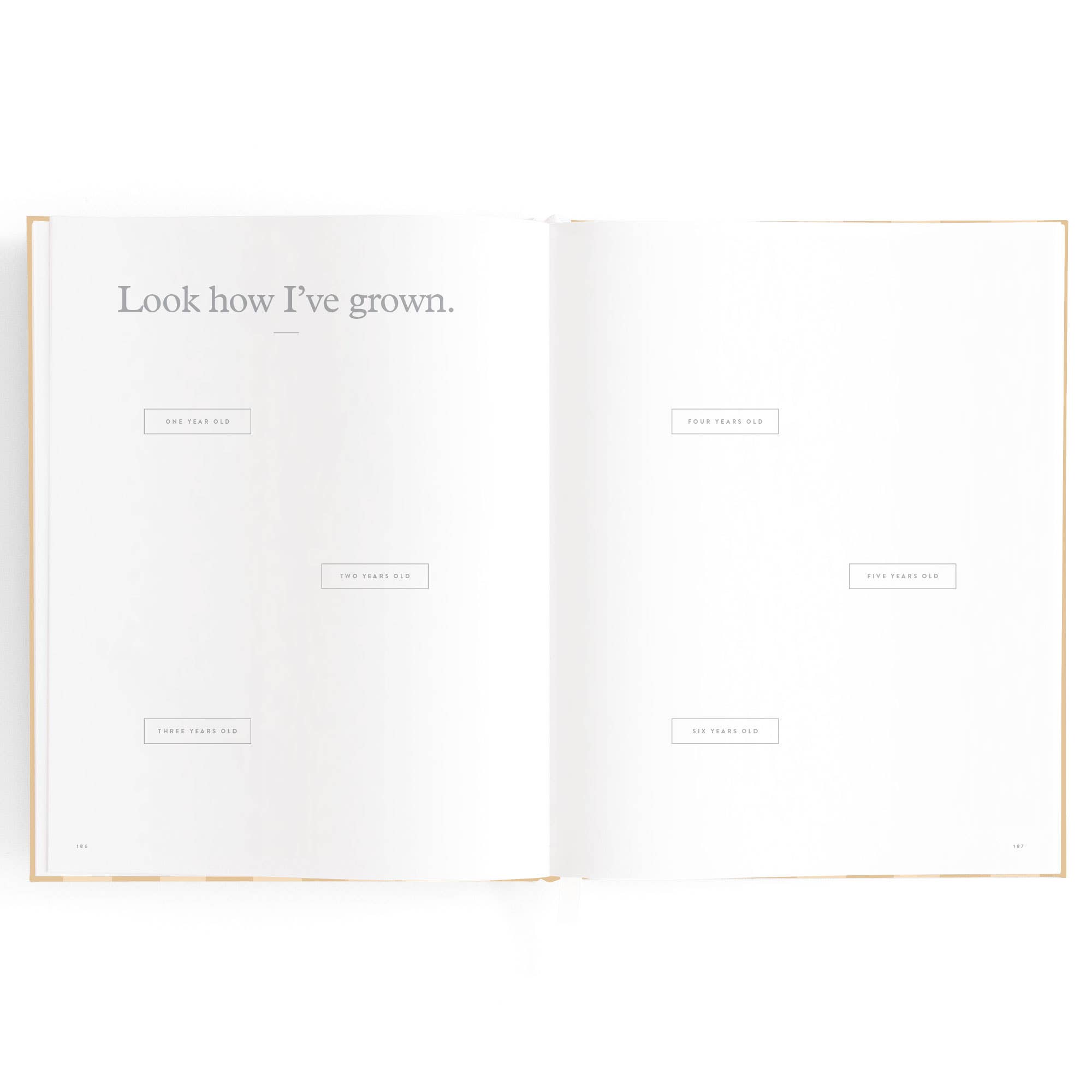 Fox & Fallow - Wholesale Memory book – Child & baby - Baby Book Coffee Stripe3