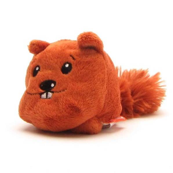 Schmoozies schermreiniger voor eekhoorns voor wholesale door Duckshop