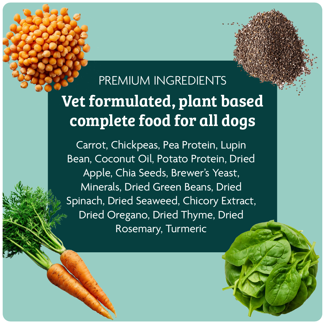 Omni – wholesale Pet food – Dog – Comforting Casserole3