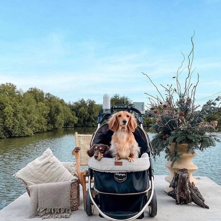 Ibiyaya - Wholesale Pet Carrier - Cat/Dog - Monarch Premium Pet Jogger, Designer-Luxury Dog Stroller 6