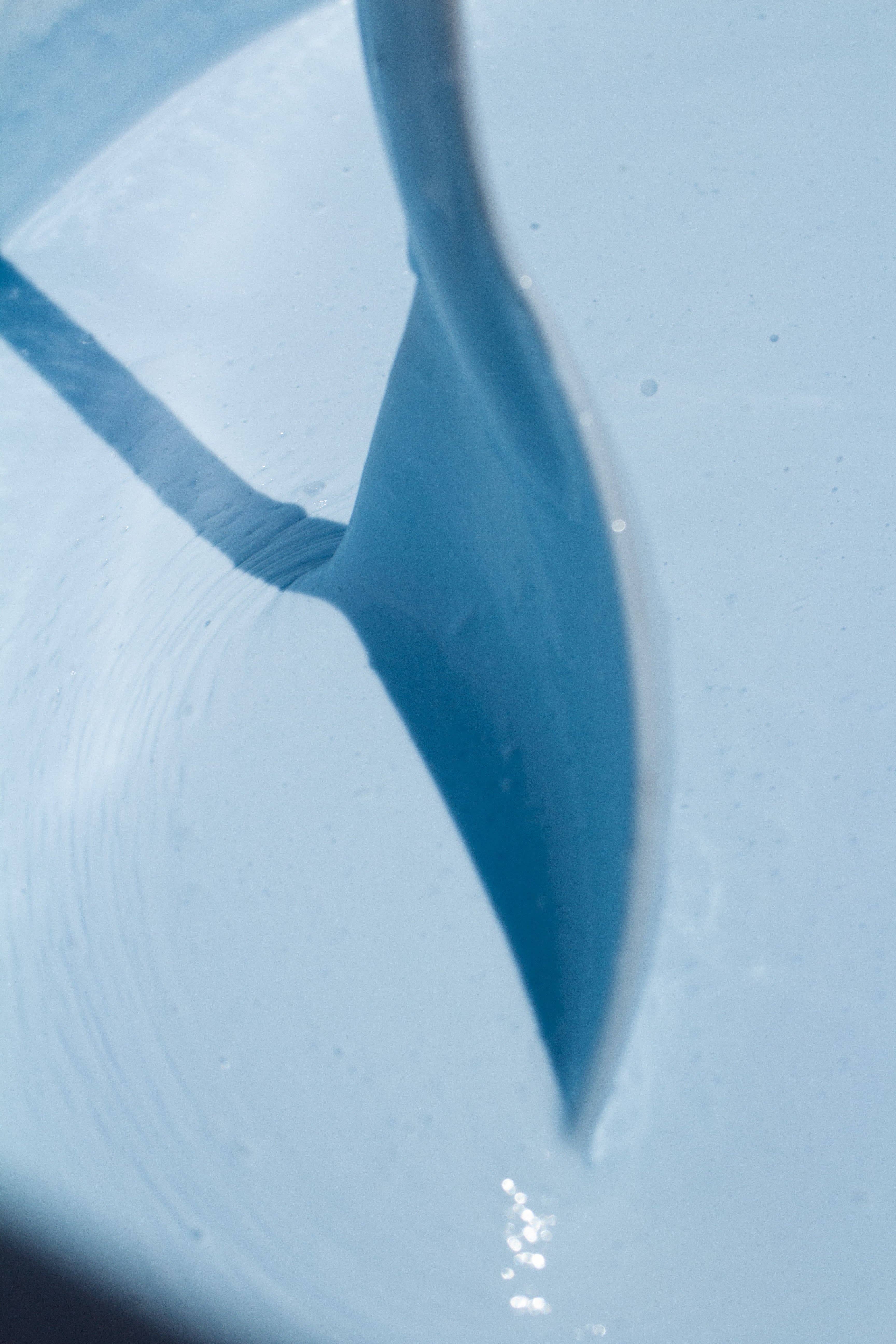 NOTO Botanics - Wholesale Facial Moisturizer - MOISTURE RISER CREAM // FACE + NECK + HANDS5