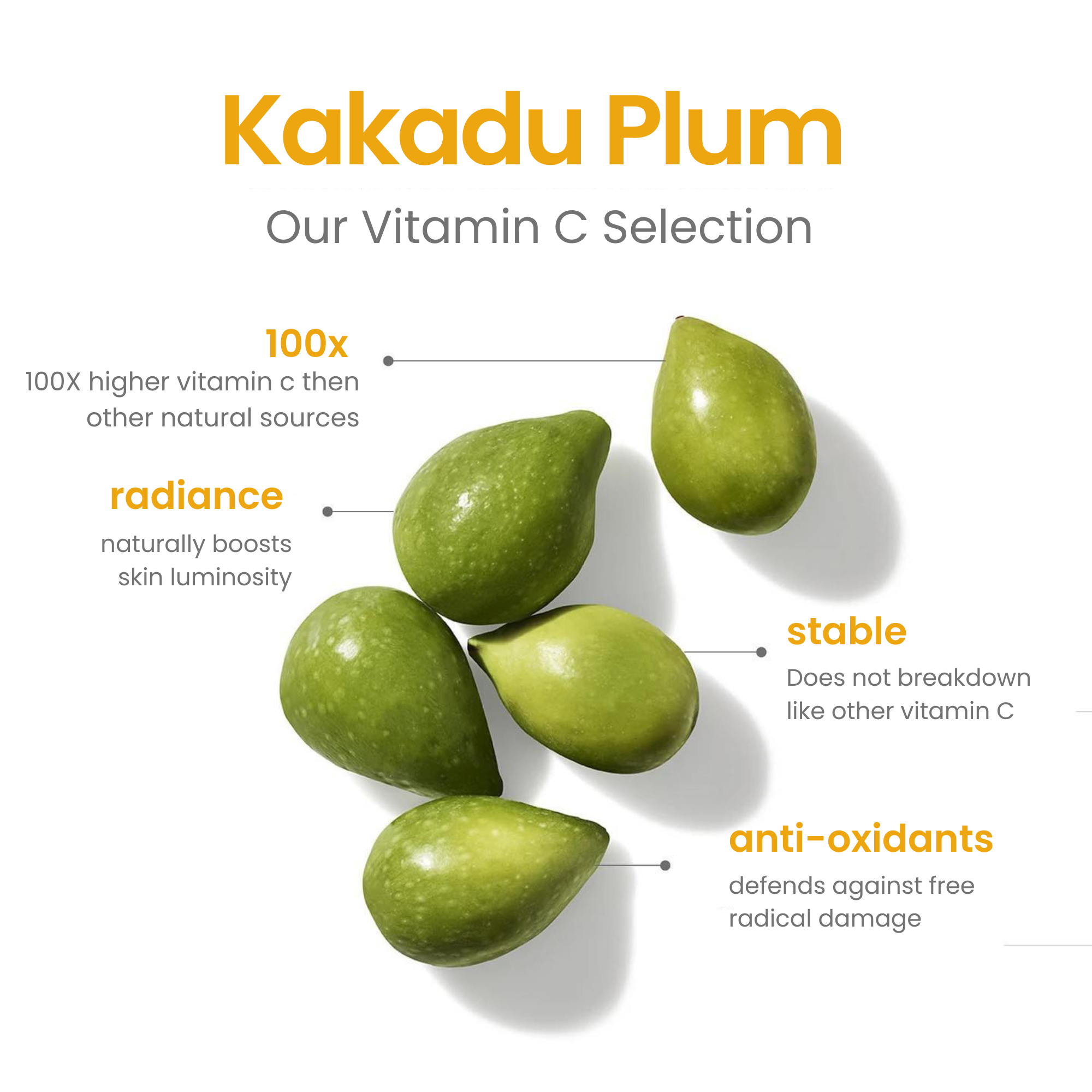 Natural Outcome Skincare - Wholesale Facial Serum/Concentrate - Vitamin C + E Serum with Ferulic Acid - C-Brilliance3