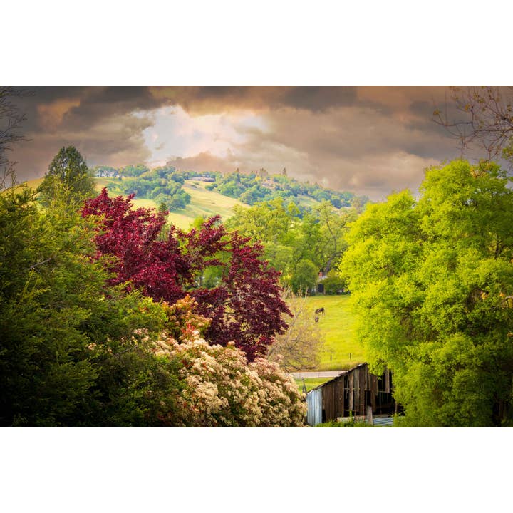 Œuvre d'art California Sierra | Art mural sur toile | Beaux-arts pour la vente par Richard Miles Photos