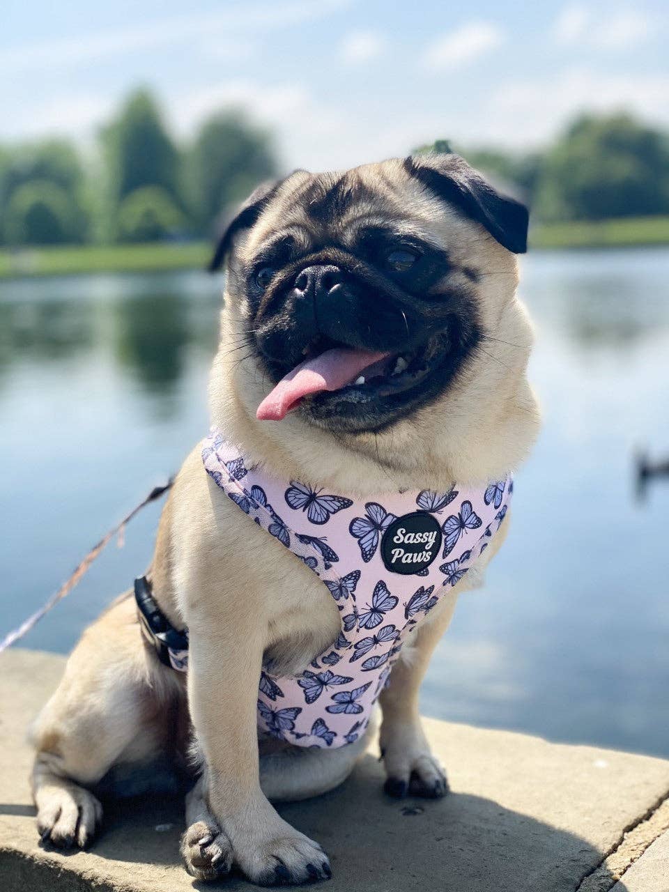 Sassy Paws Collection - Wholesale Tuig voor huisdieren - Hond - Borstharnas voor honden - Purple Emperor7