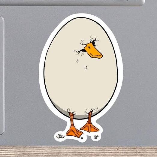 Anatroccolo da cova per la vendita all'ingrosso da parte di kbs design space