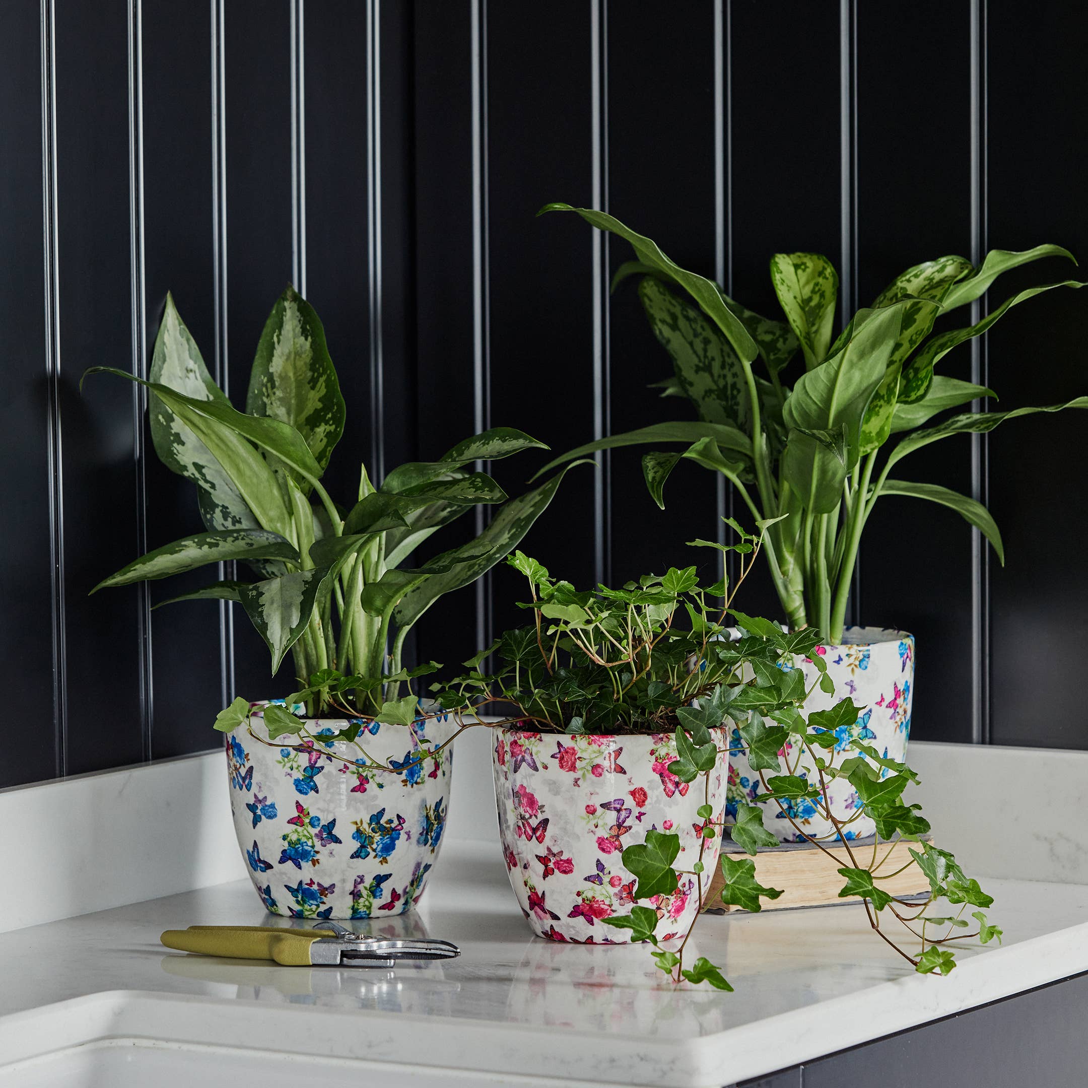 Ivyline - Vendita all'ingrosso Vasi per piante - Vaso per piante da interno in ceramica Monza H16,5 cm x P16,5 cm6