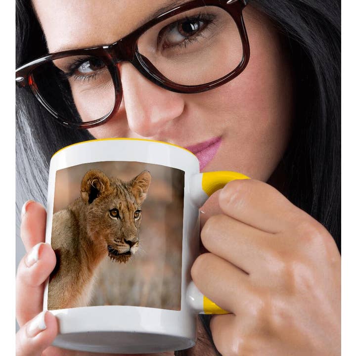 3dRose – wholesale Coffee mug – 3dRose, Lion with wet jaw from drinking water, Kgalagadi NP, South Africa., Mug1