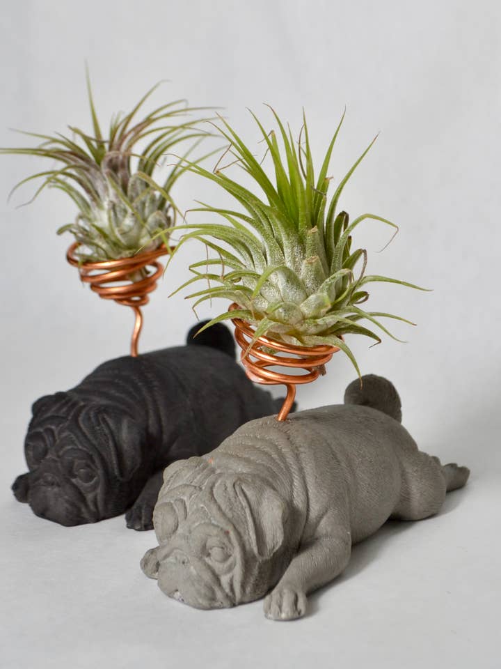 Pug/Sharpei Airplanthouder voor honden voor wholesale door LindaMakess