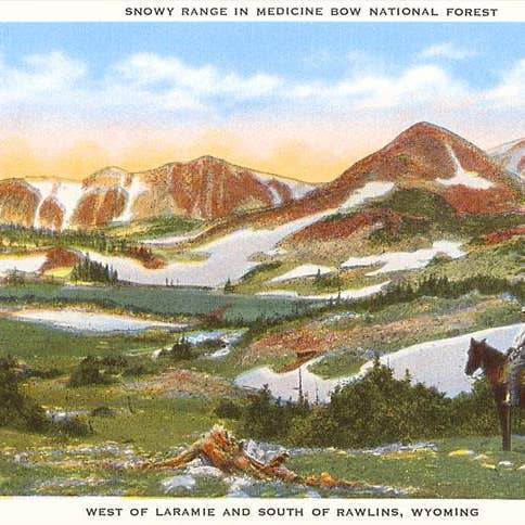 Found Image Press - Vendita all'ingrosso Stampa artistica - Stampa d'arte WY-71 Snowy Range, Foresta Nazionale di Medicine Bow, W0