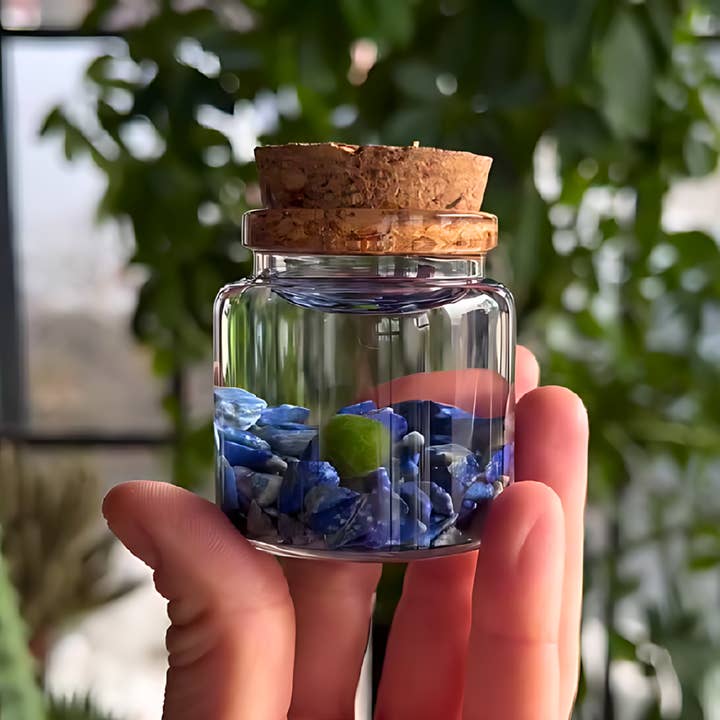Small Marimo Moss Ball Terrarium with Lapis Lazuli Gemstones for wholesale by Moss Amigos | Moss Ball Terrariums