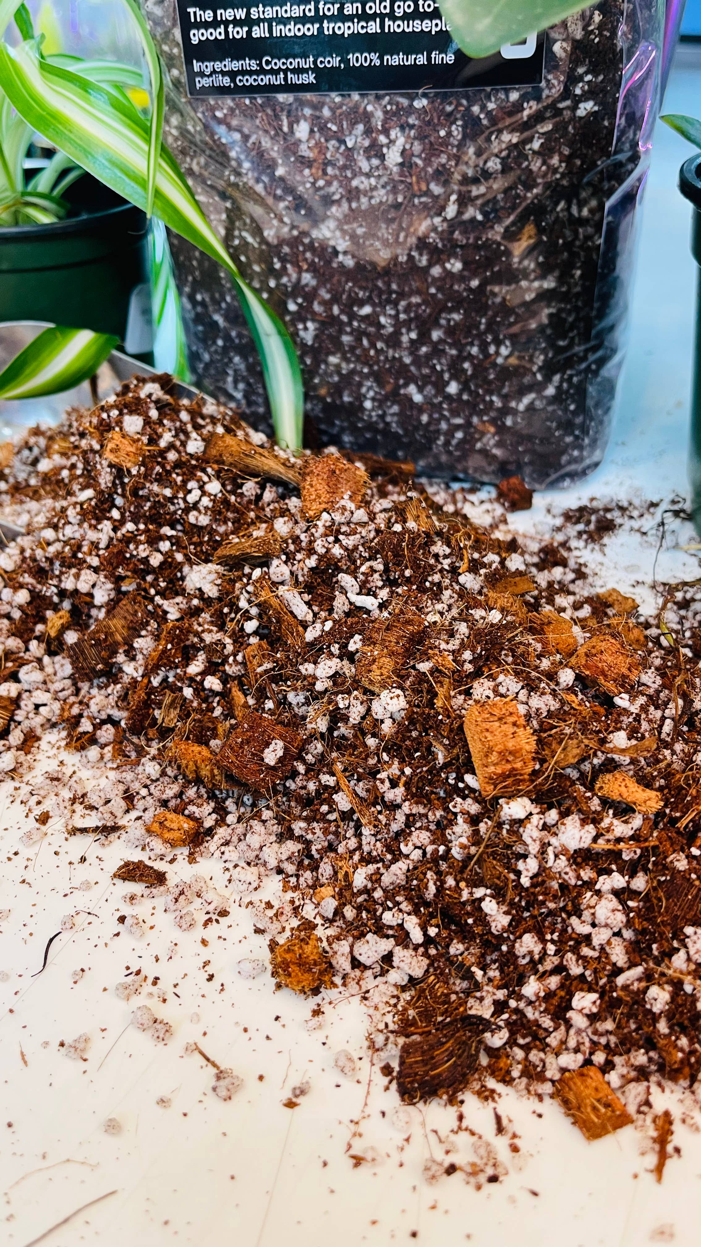 Found Things Plant Shop – Solo para plantação e vasos por atacado – Substrato Tropical para Vasos1