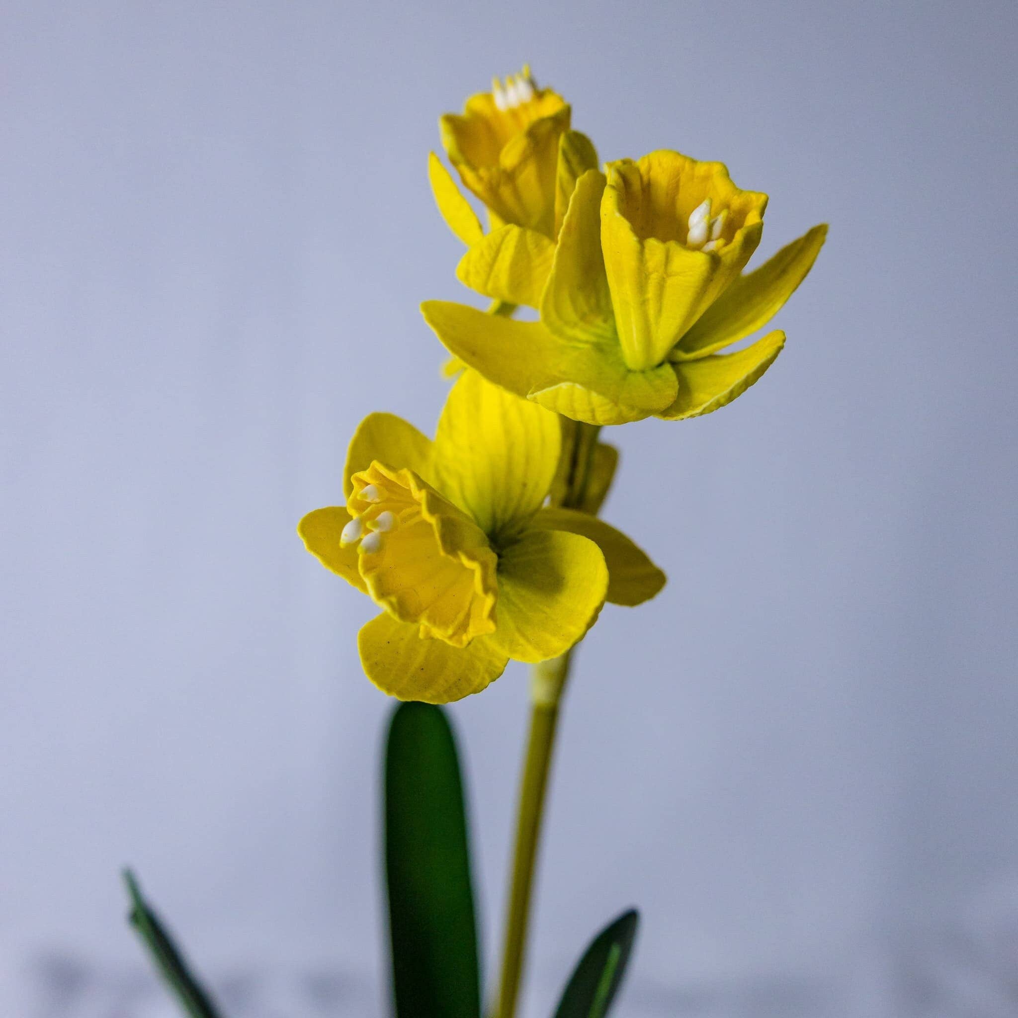 Realistic Artificial Flowers – wholesale Artificial flowers – Narcissus/Jonquils  - Realistic Artificial Flowers1
