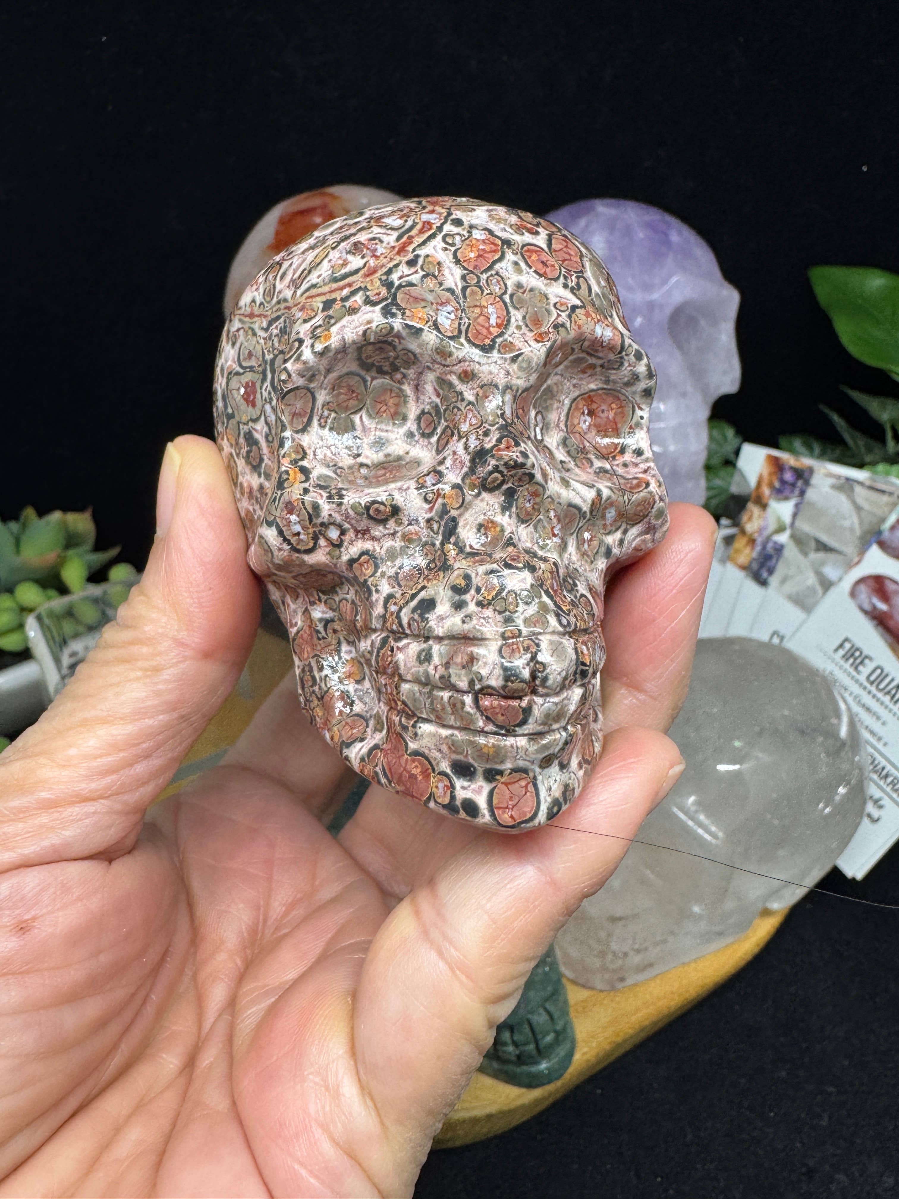 The 7 Directions - Wholesale Spiritual Stone/Crystal - 6 pc Ocean Jasper Leopardite fire quartz skull bundle G8055