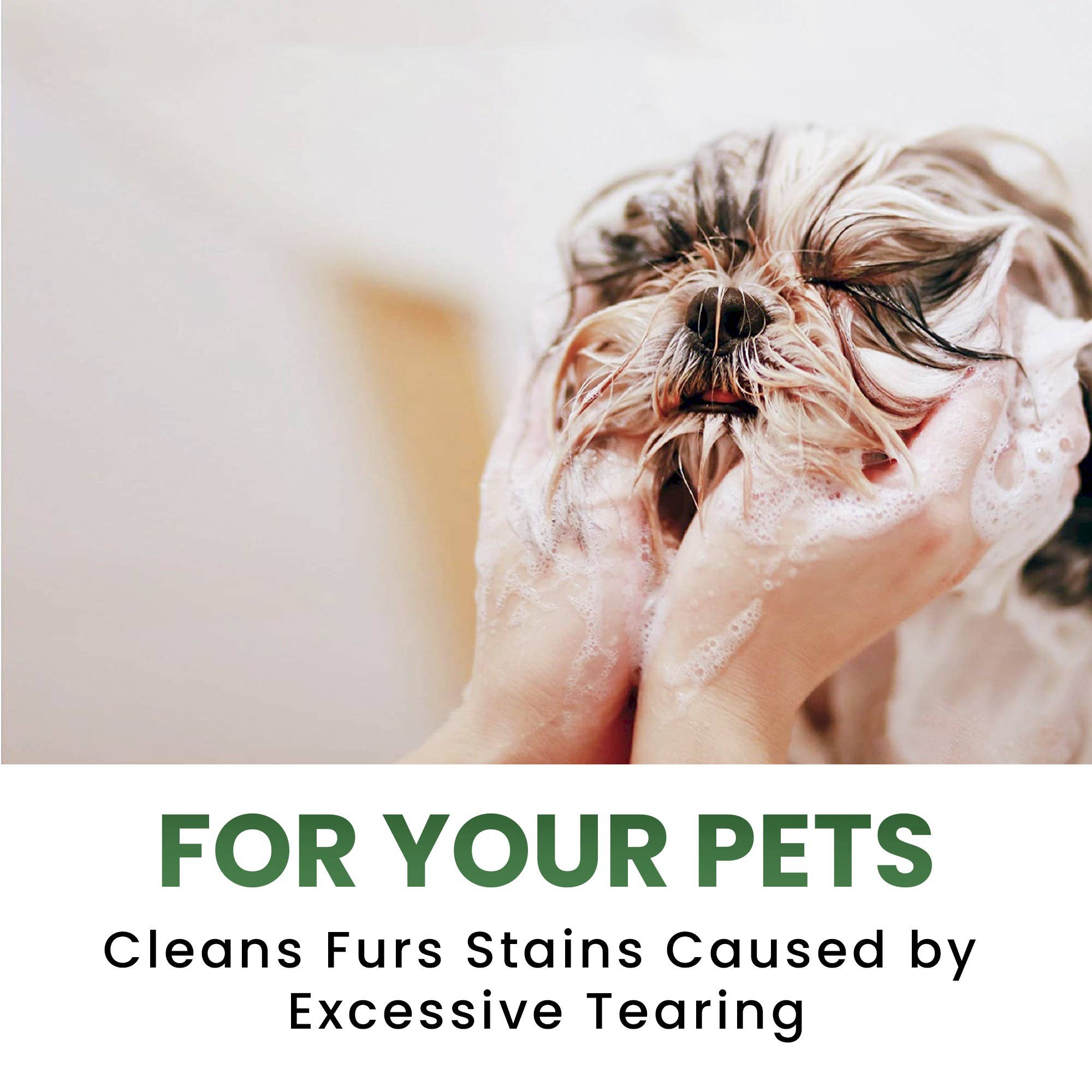 Aroma Paws - Wholesale Pet Grooming Aid - Dog - 13.5 Oz. Organic Cucumber & Aloe Facial Scrub3