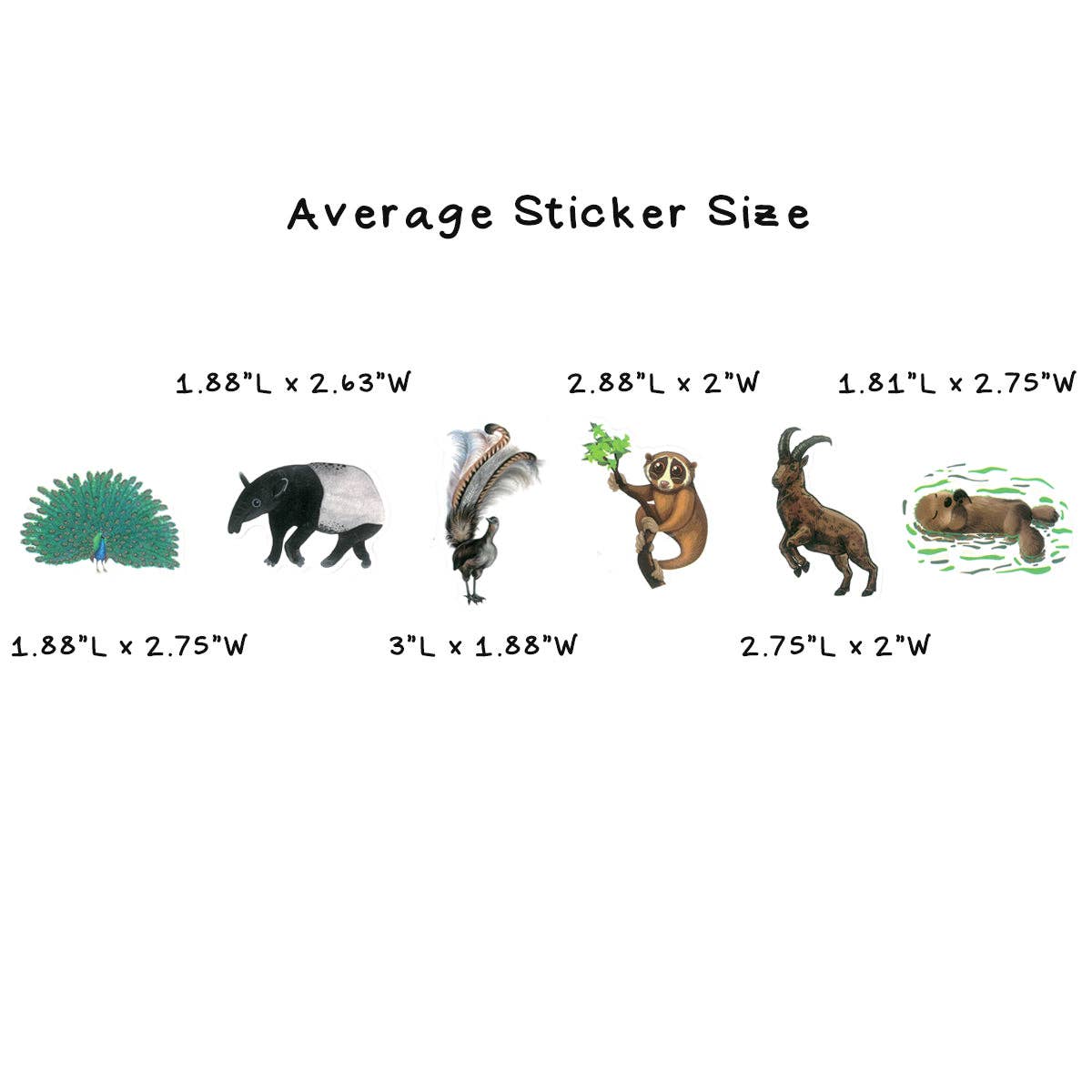 Wrapables.com - Wholesale Sticker - Wrapables Waterproof Vinyl Stickers for Water Bottles112