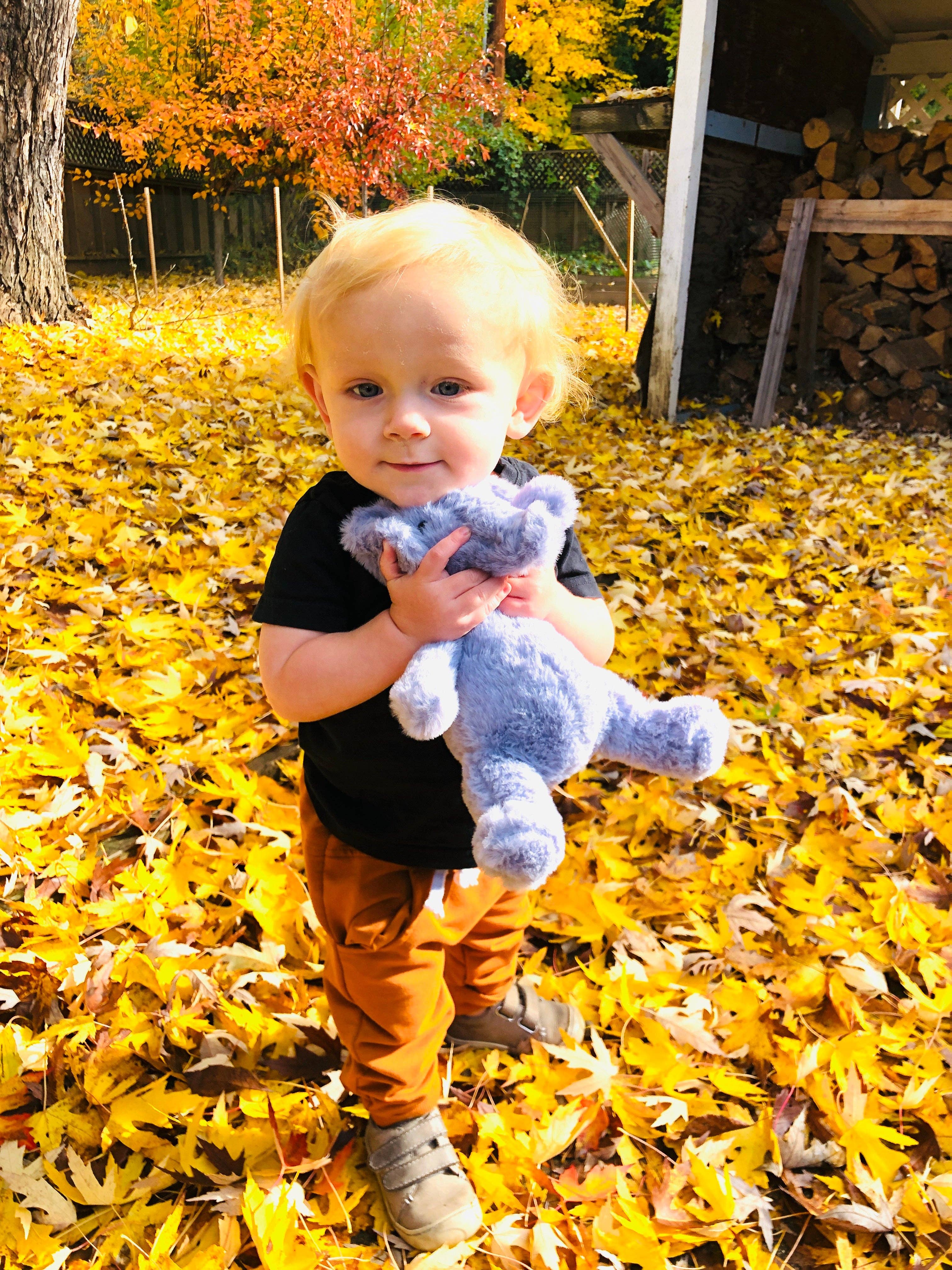 Firefly Delights LLC - Wholesale Stuffed/Plush Toy - Kids & Baby - Elephant Plush Toy6