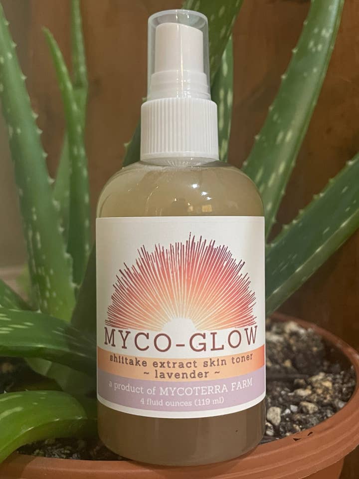 Shiitake Extract Skin Toner for wholesale by Mycoterra Farm