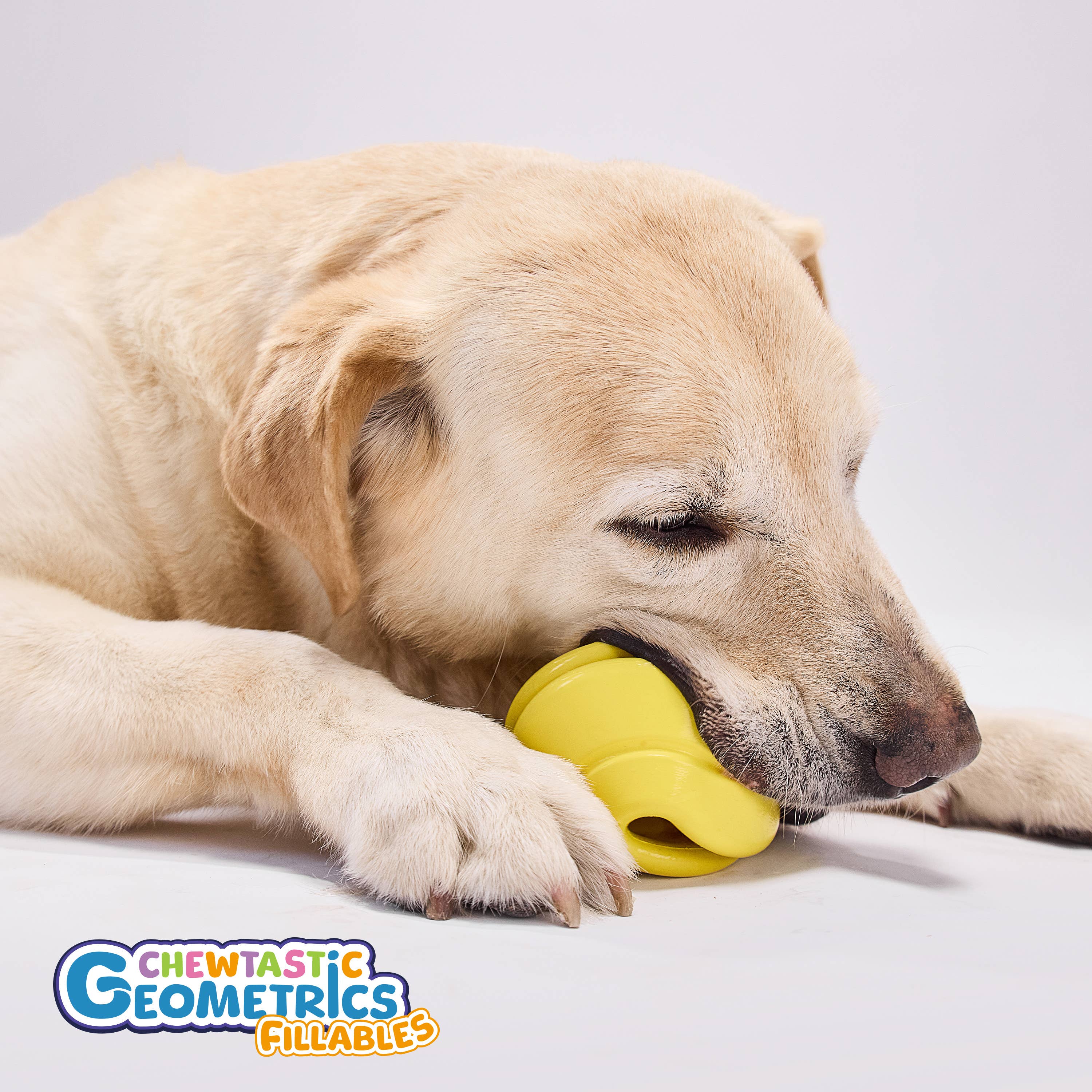 PetDreamHouse – wholesale Pet chew toy – Dog – Chewtastic Geometrics Natural Rubber Toy Geo-Spherix Ball  4