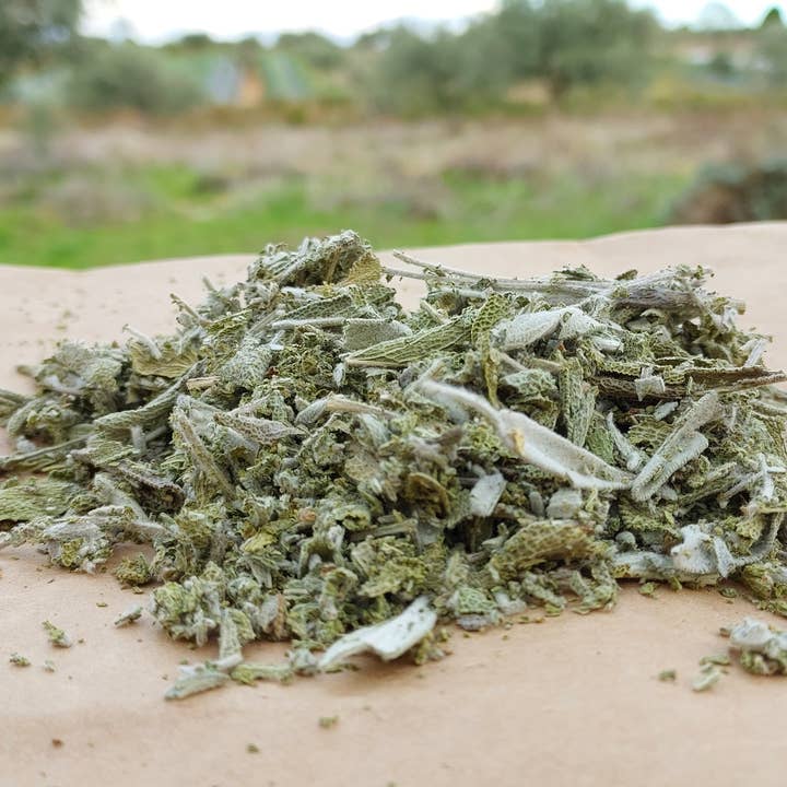 Ervas da Zoé – wholesale Herbs – 86. Spicy herbs “Sage Leaf” Bio 10g