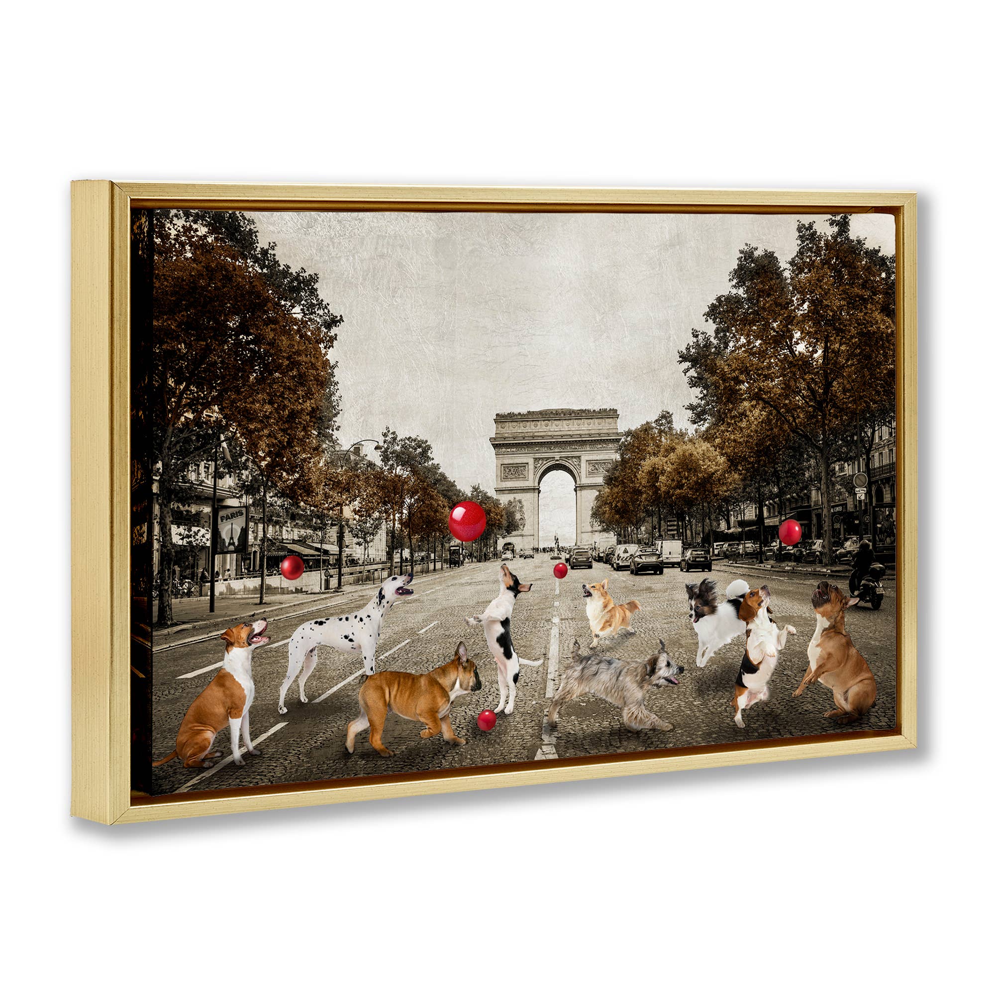 Stupell Industries - Wholesale Wall Sign - Dogs Playing Among Architecture - Framed Wall Art17