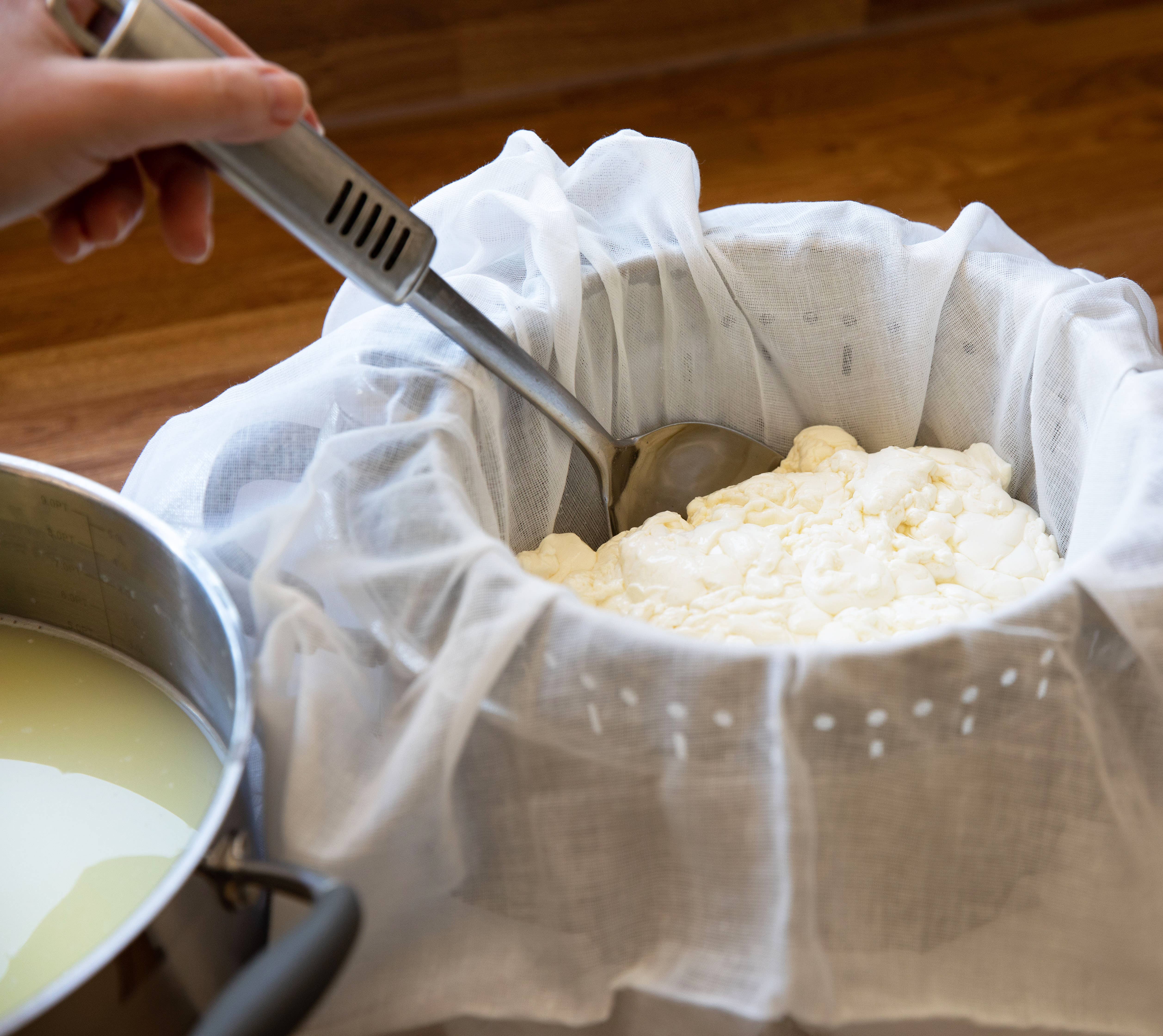 The Big Cheese Making Kit - Wholesale DIY Food Kit - BEER LOVER'S CHEESE MAKING foodie gift vegetarian gluten fre4