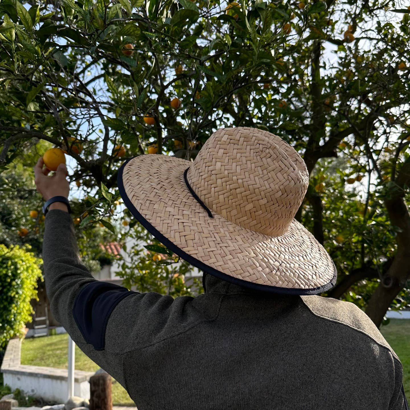 NATURAL Wide Brim Handmade Panama Lifeguard Straw Hat Extra sun prot for wholesale on Faire3