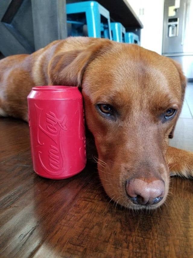 SodaPup Dog Toys - Vendita all'ingrosso Giocattolo da masticare - Cani - SP - Giocattolo per cuccioli, giocattolo da masticare, dispenser per dolcetti, colore: Rosa5