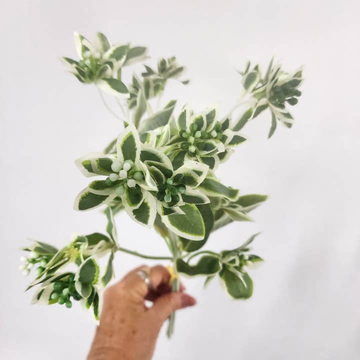 Euphorbia Variegated Greenery -Realistic Artificial Greenery for wholesale by Realistic Artificial Flowers