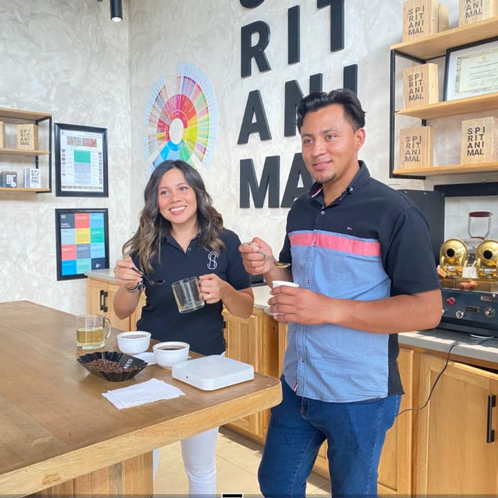 Spirit Animal Coffee – wholesale Coffee beans – Cup of Excellence Parainema Specialty Coffee